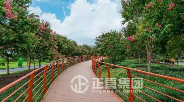银河集团(galaxy)有限公司-官方网站