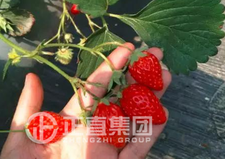 银河集团(galaxy)有限公司-官方网站