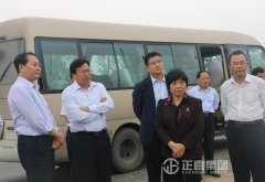  张玉兰到河东督导环城生态防护林带建设