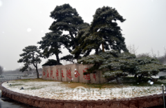 你那里下雪了吗？？？？？！