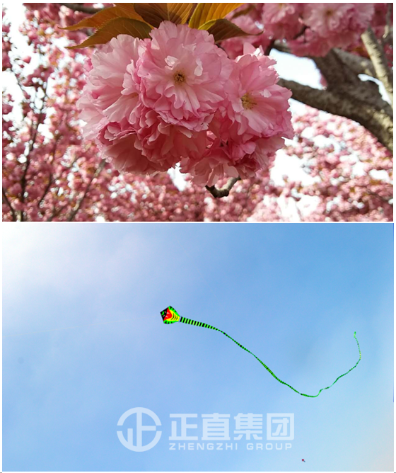 银河集团(galaxy)有限公司-官方网站