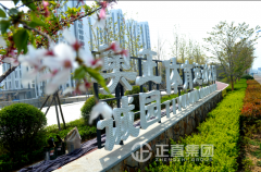 工程案例-银河集团