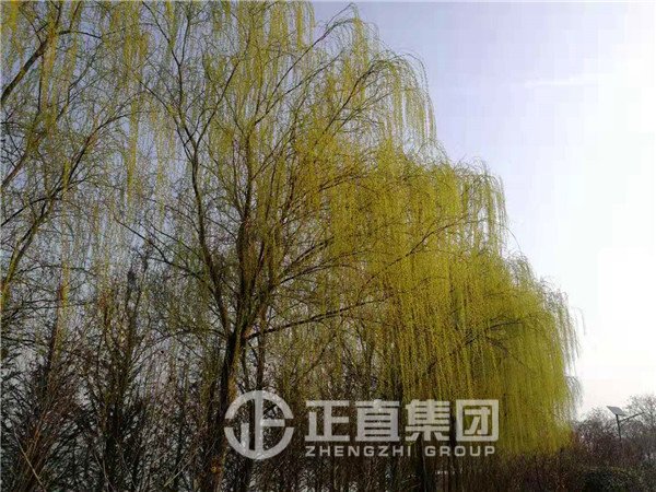 银河集团(galaxy)有限公司-官方网站
